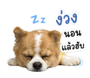 856978920