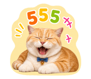 856978946