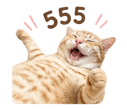 856979458