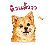 856979545