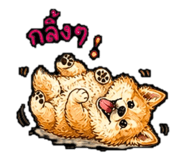 856979548