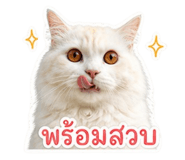 856979905