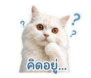 856979910