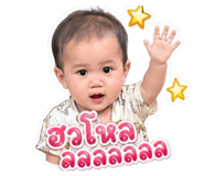 856980113