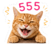 856980858