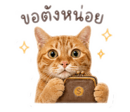856980871