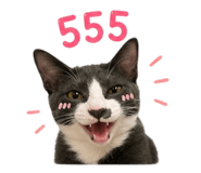856980931