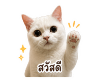 856981073