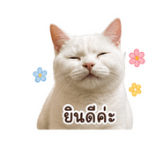 856981080