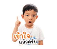 856981166