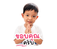 856981167