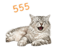 856981323
