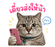 856981477
