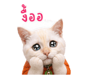 856981488