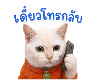 856981489