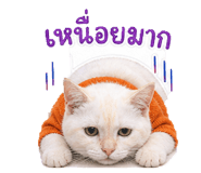 856981491