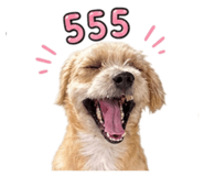 856982797