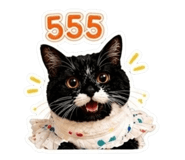 856982994