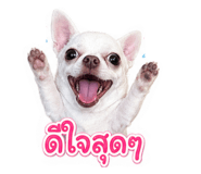 856983321