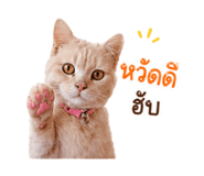 856983329