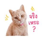 856983340