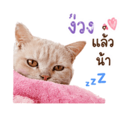 856983341