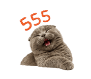 856983746