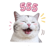 856984027