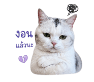 856984028