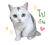 856984032