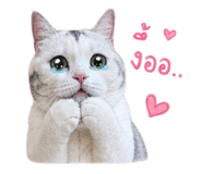856984034