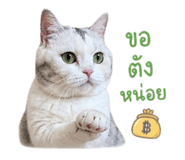 856984039