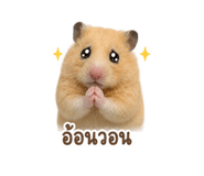 856984282