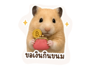 856984288