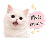 856984435