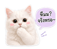 856984440