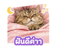 856984471