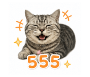 856984682