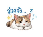 856984772