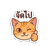 856984784