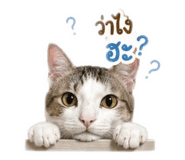 856984890