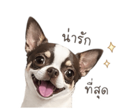 856985130