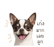 856985133