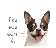 856985160