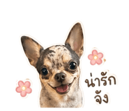 856985504