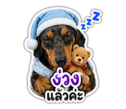 856986913