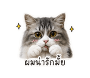 856987107