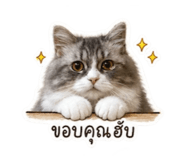 856987115
