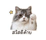 856987122