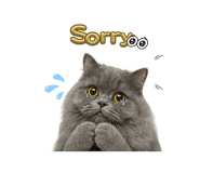 856987200